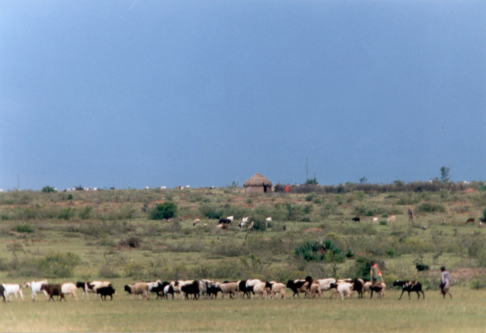 Scuola Fotografia Venezia