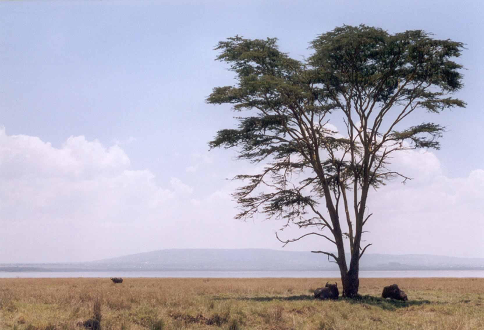 Scuola fotografia Venezia